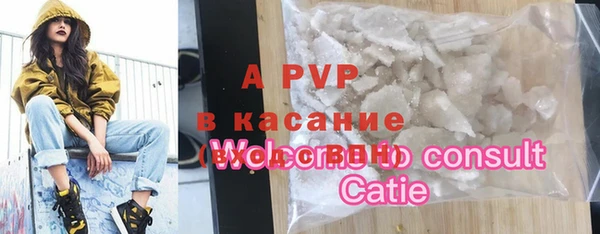 мдпв Богданович
