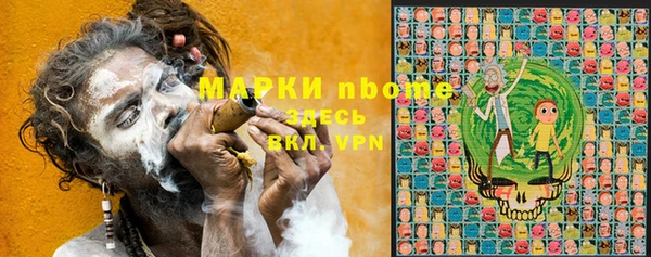 мдпв Богданович