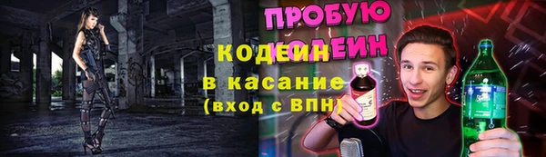дживик Богородск