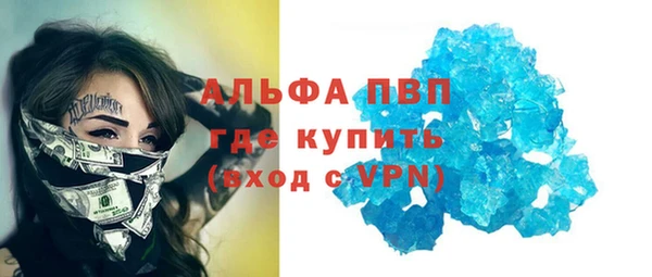 мдпв Богданович