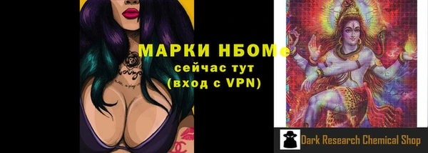 мдпв Богданович