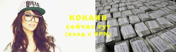 дживик Богородск