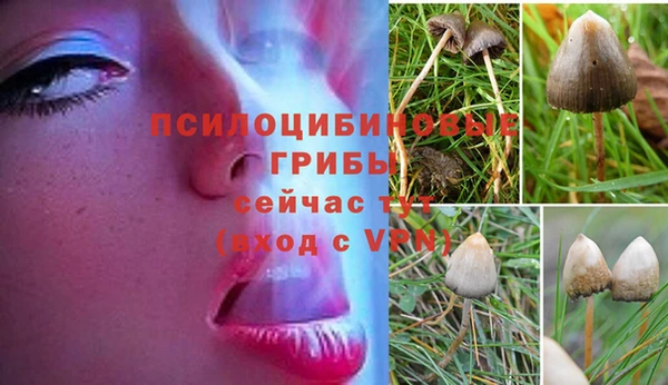 кокаин Богородицк