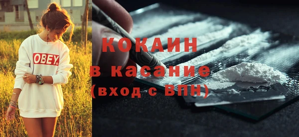 мдпв Богданович