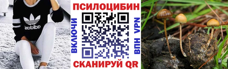 Псилоцибиновые грибы MAGIC MUSHROOMS Нарьян-Мар
